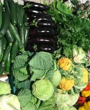 Todis - Supermercato (Civitavecchia - via San Gordiano) immagine 1