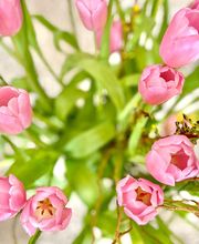 Blumen
Sagen Sie es durch die Blume. Blumen bringen Farbe ins Leben. Ob als fröhlich bunter Gruß an Freunde und Bekannte oder als Geschenk an uns selbst – wir haben für jeden Anlass den passenden Strauß oder eine Topfblume. Und der Mensch blüht auf.