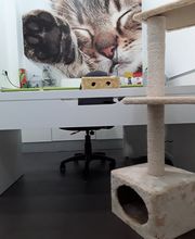 221604721-3-eZjZ27iTS71566038904780.jpeg