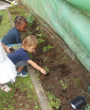 Les Petites Colombes image 2