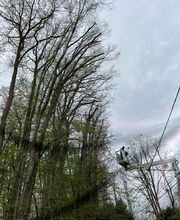 Entreprise AB image 2