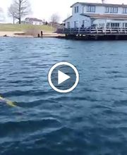 Sole Mio Seeterrasse Bild 3