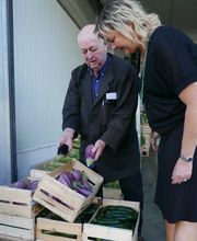 Chez Madie Les Galinettes image 20