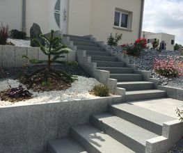 Steas image 6