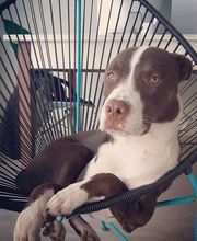 BWE Agency - Agencia de Marketing imagen 4