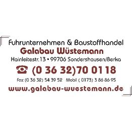 Marcus Wüstemann