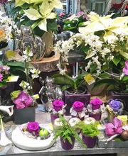 Le Temps D'une Fleur image 2