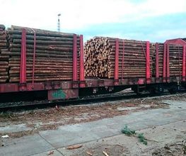 BBH GmbH Holzhandel Bild 4