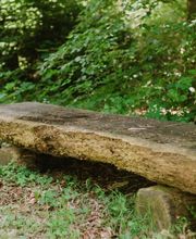 Bänke an den Waldwegen im FriedWald Hegau laden zum Verweilen ein.