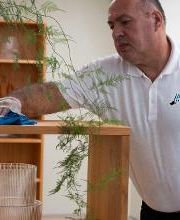 AVEA Reinigungen GmbH Bild 1