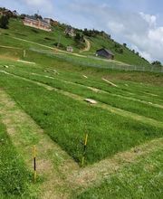 Loc de Sault image 2