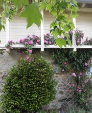 Les Maisons de Concasty, gîtes image 11