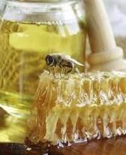 Abeille De Ré image 1