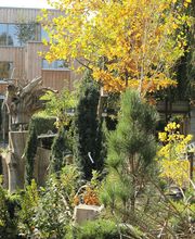 Grasland Gärtnerei, Bergheim