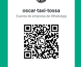 234367951-1-mdSRyruDLN1717517875992.jpeg