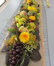 Gärtnerei Mohring Bild 9