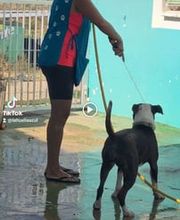 La Huella Azul S.L. imagen 12