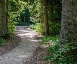 FriedWald Blaubeuren Bild 18