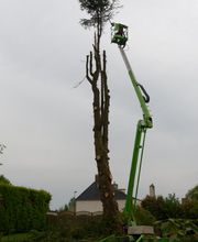 Le Clere Laurent image 13