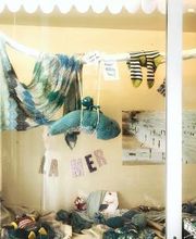 Hirsch & Hase Bild 6