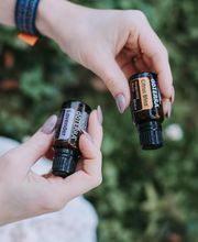 Justine Lavogez image 9