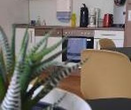 Küche mit mehreren Schränken, Wasserkocher, Kaffeemaschine und Ofen. Im Vordergrund eine Pflanze auf einem Tisch.