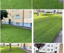 HRG Hauswartung - Reinigung - Gartenunterhalt Bild 8
