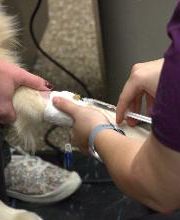 Westside Family Pet Clinic image 10