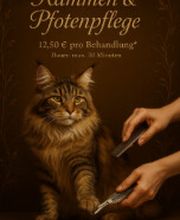 Screenshot 2025-10-23 172620.png