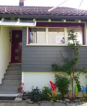 bieridach gmbh Bild 6