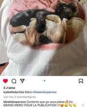 Idée Kdos Persos image 13