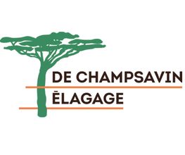 DE CHAMPSAVIN ELAGAGE image 5
