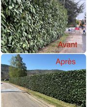 Debarrastout image 1