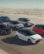 Toyota Cannes image 2