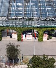 Bullo Luca Fiori Bild 3