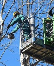 Dewulf Elagage image 1