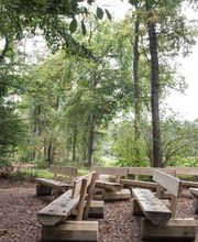 FriedWald Gronenburg Bild 6