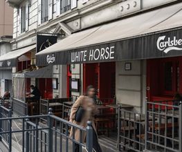 White Horse Bild 12