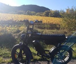 LM FatBikes image 12