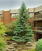 Alden Terrace of McHenry image 1