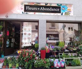 Fleurs en Abondance image 7