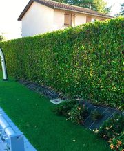 Brian Gibbs image 14