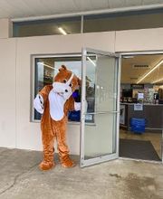 Petsense by Tractor Supply image 2