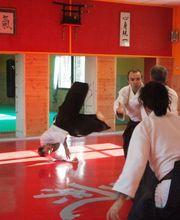 ARTI MARZIALI di Pisciotta Roberto Bild 5