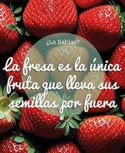 1_IMAGEN_Asesoramiento_nutricional.png