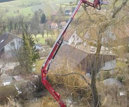 WS-Skyworker AG Bild 1