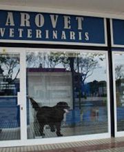 arovet-veterinaria-02.jpg