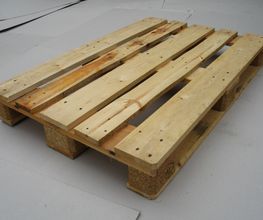 Kartonfritze Carl Evers GmbH & Co. KG Bild 4