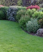 VERT COOP SERVICES image 5