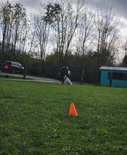 Bien dans ses Pattes image 18